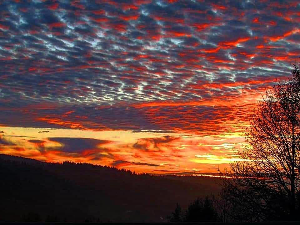Ferienhotel Schwarzwaelder Hof Feldberg  Exteriör bild