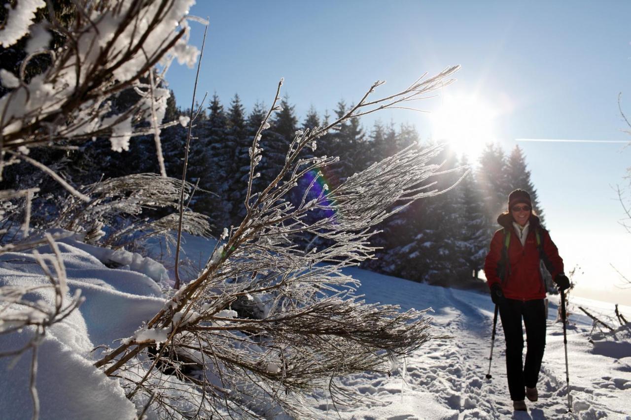 Ferienhotel Schwarzwaelder Hof Feldberg  Exteriör bild